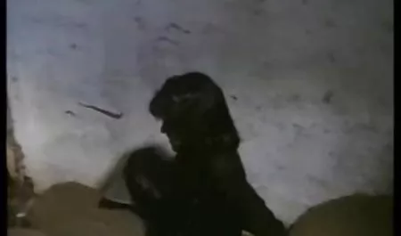 Seni seviyorum büyükanne erotik sevisme sahne genç horoz ve yüz