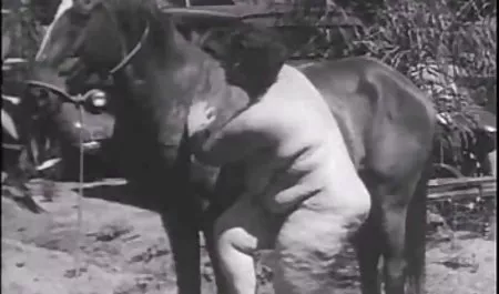 Parti alem emmek ve lanet türk sex sahnesi Dicks detaylar