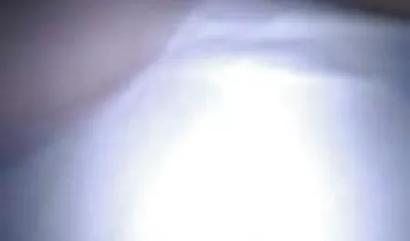 Sekreter seksi erotık sevısme